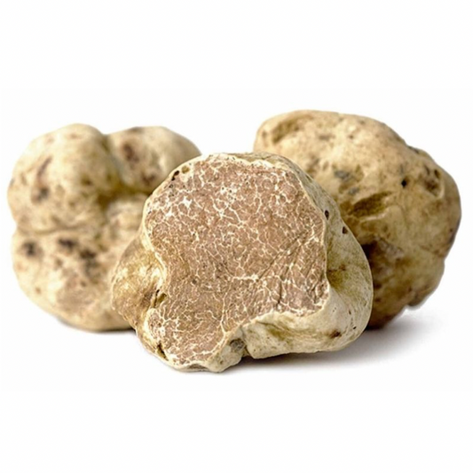 Tartufo Bianco